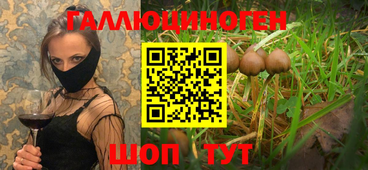 Вязники  Псилоцибиновые грибы Psilocybe  Вход с VPN 