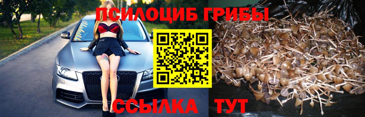Галлюциногенные грибы ЛСД Вязники